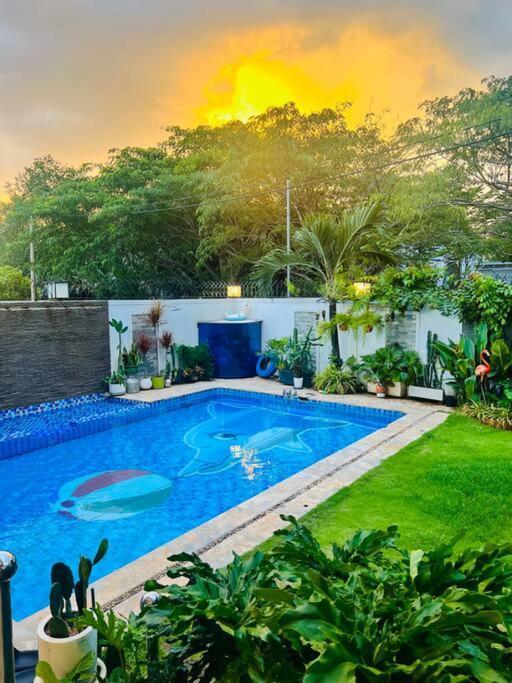 Maison Khu Vuon Nhiet Doi Biệt thự *